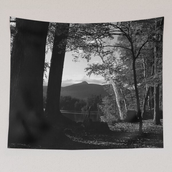 Item preview, White Birch in a Chocorua Sunset designed and sold by Wayne King.