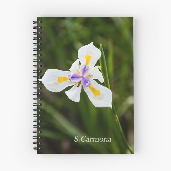 Item preview, White Dietes Grandiflora Wild Iris Botanical Flower Art designed and sold by AuraInkSC.