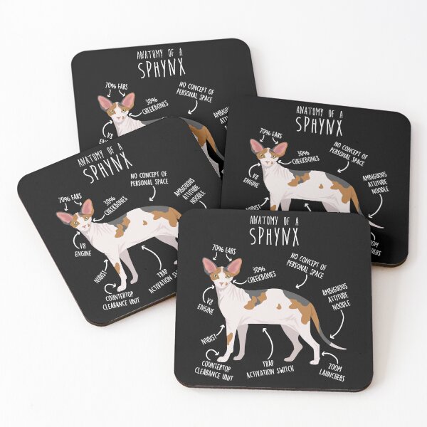 Item preview, Calico Sphynx Cat Anatomy designed and sold by Clara Hollins.