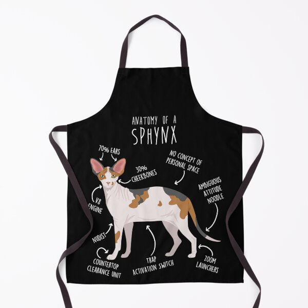 Item preview, Calico Sphynx Cat Anatomy designed and sold by Clara Hollins.