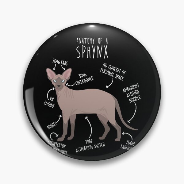 Item preview, Chocolate Mink Point Sphynx Cat Anatomy designed and sold by Clara Hollins.