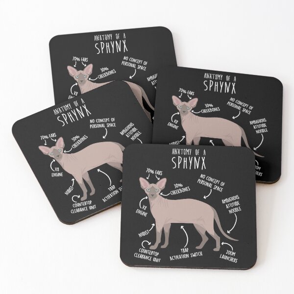 Item preview, Chocolate Mink Point Sphynx Cat Anatomy designed and sold by Clara Hollins.