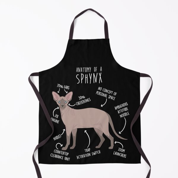 Item preview, Chocolate Mink Point Sphynx Cat Anatomy designed and sold by Clara Hollins.
