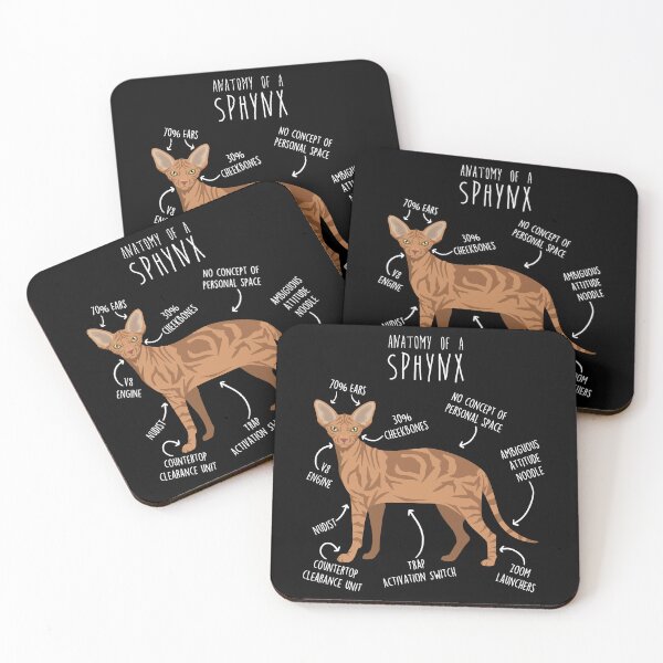Item preview, Orange Tabby Sphynx Cat Anatomy designed and sold by Clara Hollins.