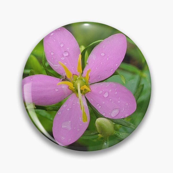 Item preview, After the Rain designed and sold by Lunar Bound Imagery .