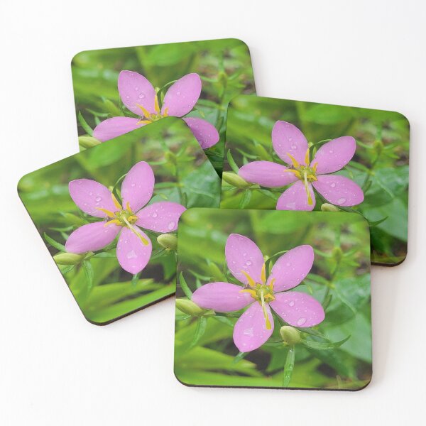 Item preview, After the Rain designed and sold by Lunar Bound Imagery .