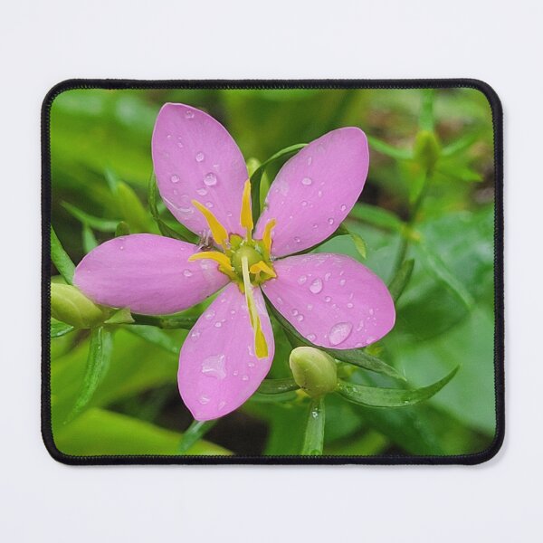 Item preview, After the Rain designed and sold by Lunar Bound Imagery .