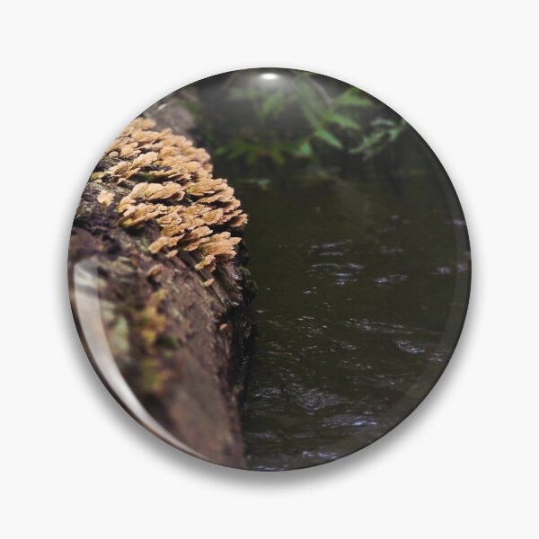 Item preview, Forest Scene #1 designed and sold by DSkainPhotos.