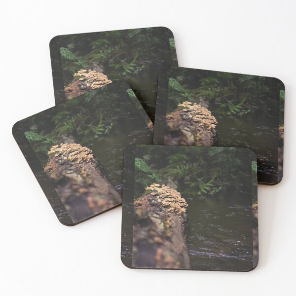 Item preview, Forest Scene #1 designed and sold by DSkainPhotos.