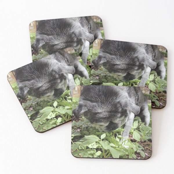 Item preview, Pug Enjoying Sniffing designed and sold by ArtbyBrittney.