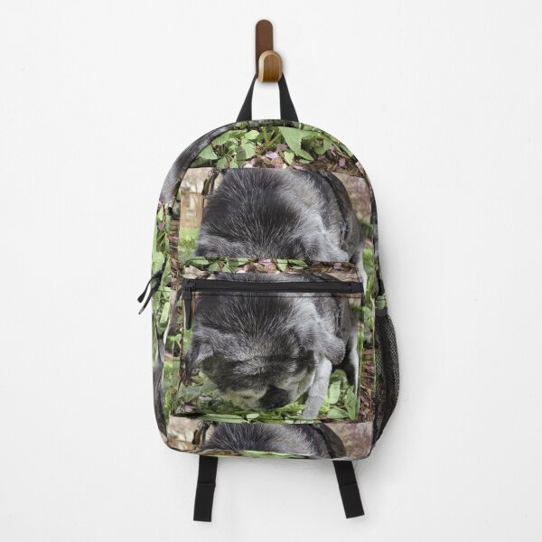 Item preview, Pug Enjoying Sniffing designed and sold by ArtbyBrittney.