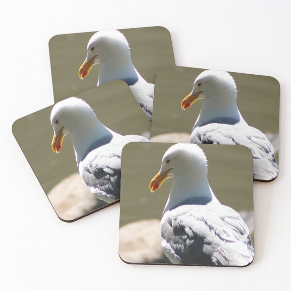 Item preview, Seagull Standing on a Rock designed and sold by WilesNailsPower.