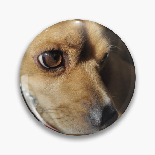 Item preview, Chihuahua Pug Close Up designed and sold by ArtbyBrittney.