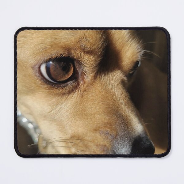 Item preview, Chihuahua Pug Close Up designed and sold by ArtbyBrittney.