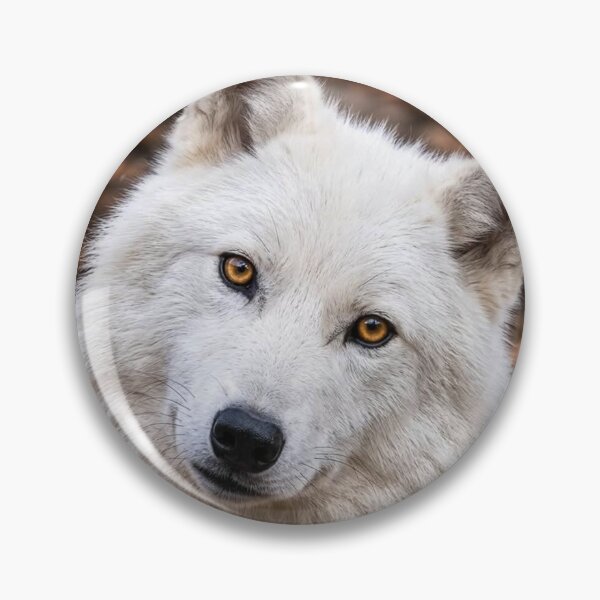 Item preview, Majestic White Wolf with Golden Eyes | Nature Wildlife Art designed and sold by Jesus-istheway.