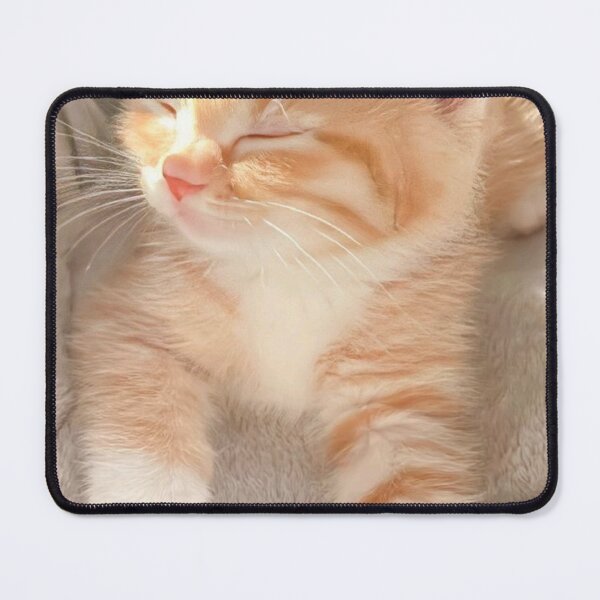 Item preview, Sun-Kissed Ginger Kitten designed and sold by Jesus-istheway.
