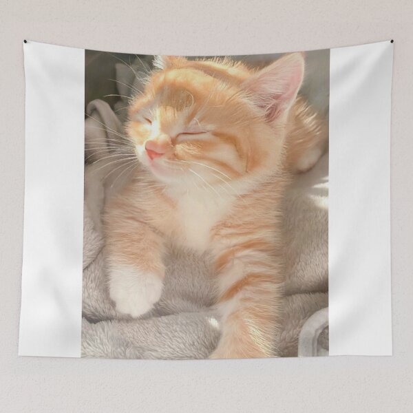 Item preview, Sun-Kissed Ginger Kitten designed and sold by Jesus-istheway.