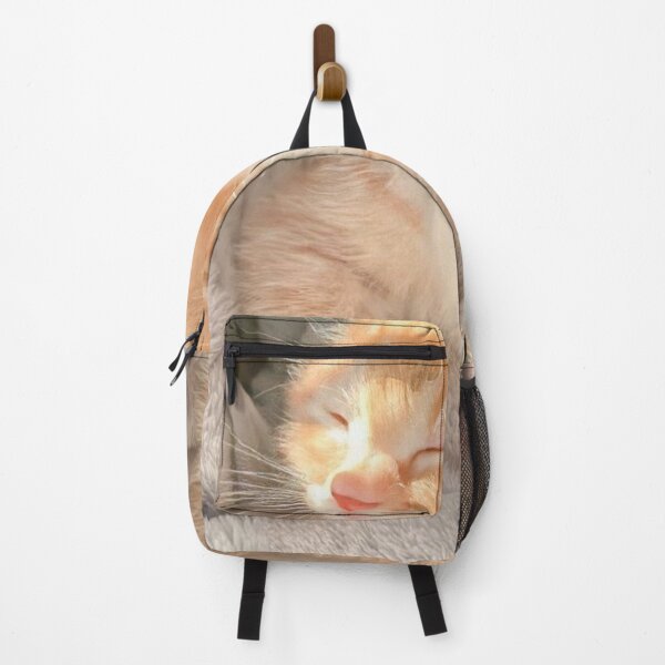 Item preview, Sun-Kissed Ginger Kitten designed and sold by Jesus-istheway.