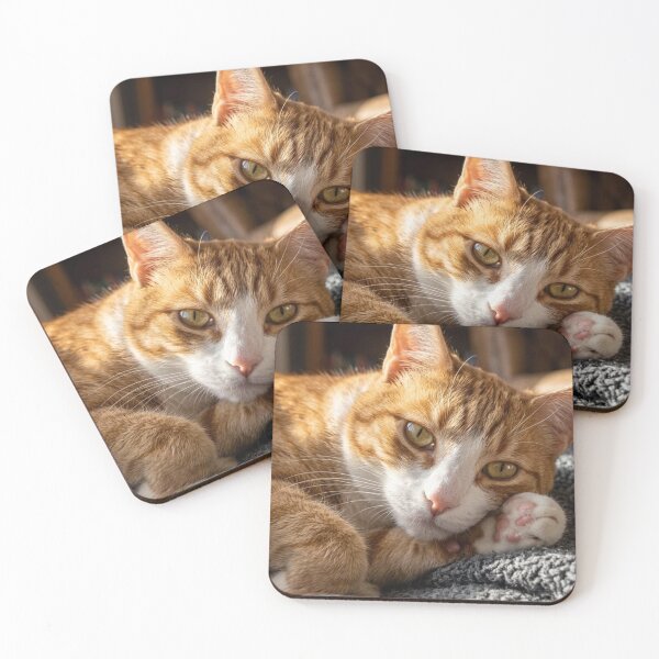 Item preview, Cozy Ginger Cat Resting | Adorable Orange Tabby Portrait designed and sold by Jesus-istheway.