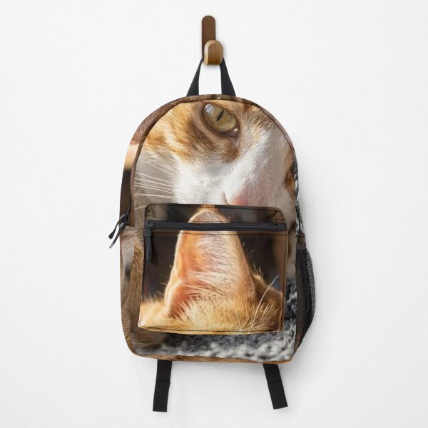 Item preview, Cozy Ginger Cat Resting | Adorable Orange Tabby Portrait designed and sold by Jesus-istheway.