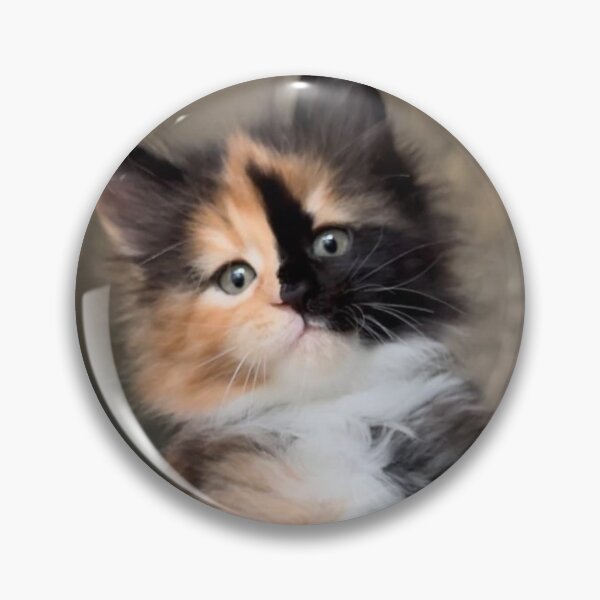 Item preview, Adorable Fluffy Calico Kitten | Cute Tricolor Cat Portrait designed and sold by Jesus-istheway.