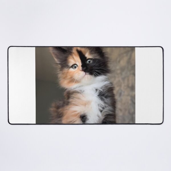 Item preview, Adorable Fluffy Calico Kitten | Cute Tricolor Cat Portrait designed and sold by Jesus-istheway.