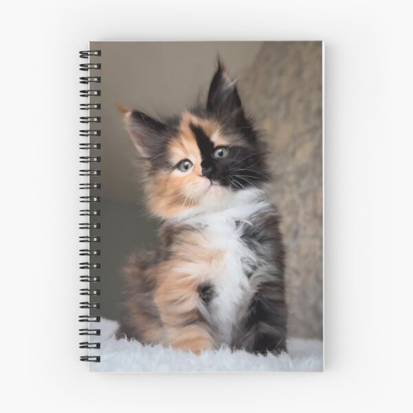 Item preview, Adorable Fluffy Calico Kitten | Cute Tricolor Cat Portrait designed and sold by Jesus-istheway.