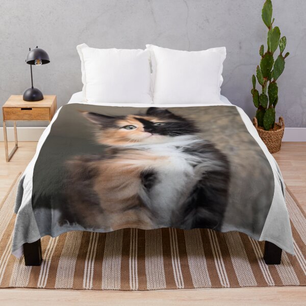 Item preview, Adorable Fluffy Calico Kitten | Cute Tricolor Cat Portrait designed and sold by Jesus-istheway.