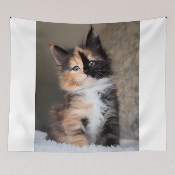 Item preview, Adorable Fluffy Calico Kitten | Cute Tricolor Cat Portrait designed and sold by Jesus-istheway.