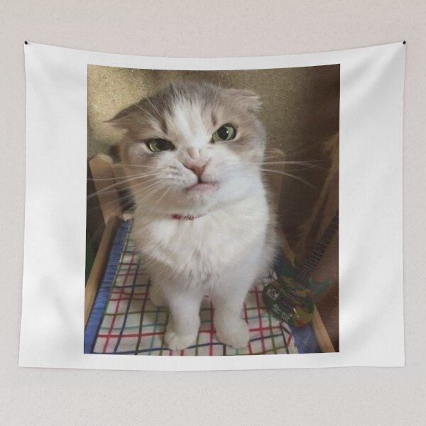 Item preview, Grumpy Cat Face | Funny Angry Cat Meme designed and sold by Jesus-istheway.