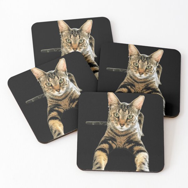 Item preview, Lucas the Cat designed and sold by DOS1221.