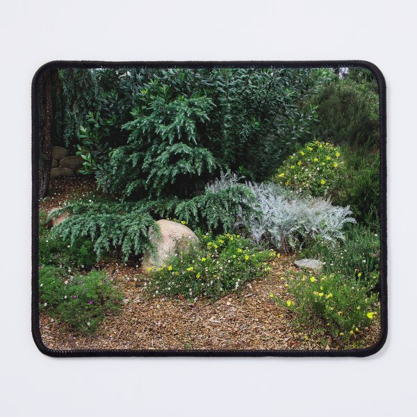 Item preview, Public Garden designed and sold by heatherfriedman.