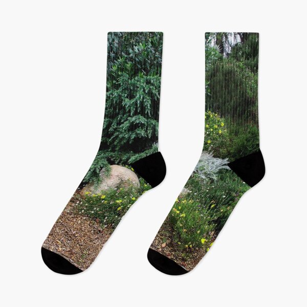 Item preview, Public Garden designed and sold by heatherfriedman.