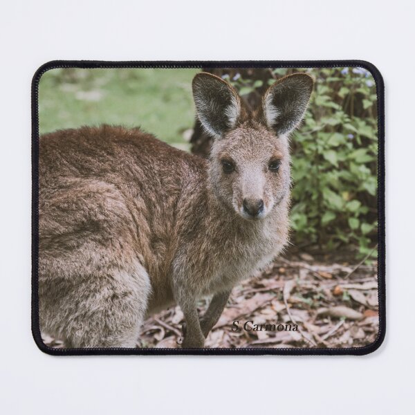 Item preview, Cute Australian Kangaroo Portrait Wildlife Fine Art designed and sold by AuraInkSC.