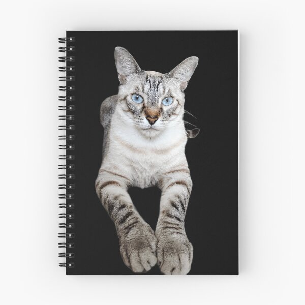 Item preview, Hughie Fella the Cat designed and sold by DOS1221.