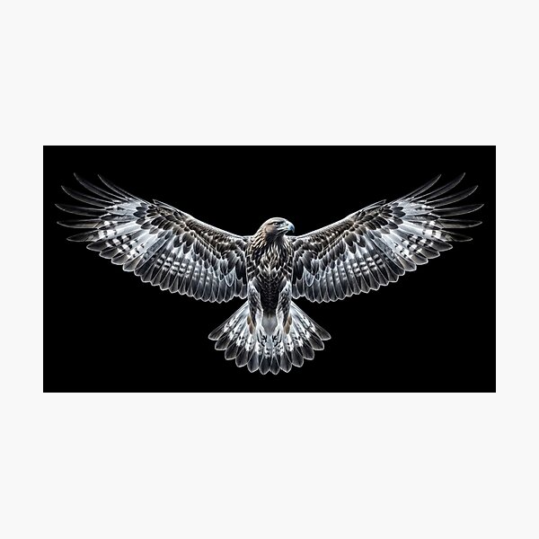 Item preview, Majestic Eagle Wings Fully Spread designed and sold by Wiredart.