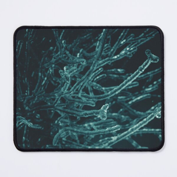 Item preview, Frozen Botanical Cluster Ice Storm designed and sold by stuartsingleton.