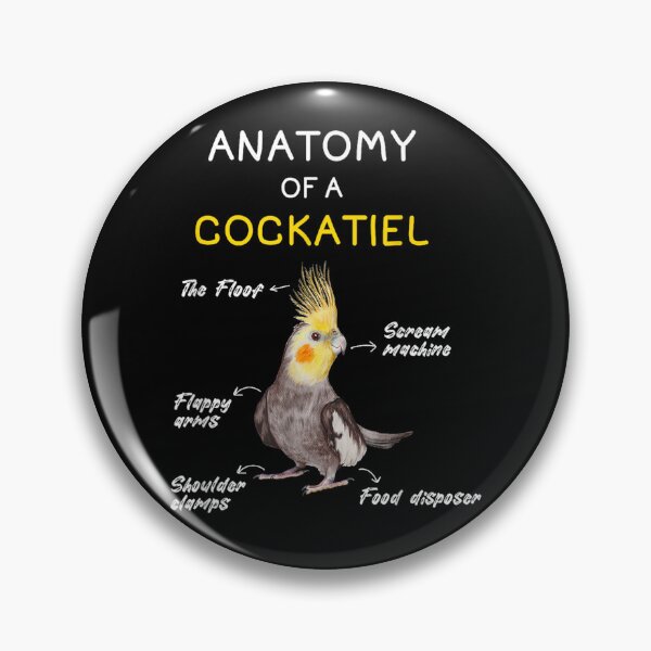 Item preview, Cockatiel Anatomy Parrot designed and sold by goombi-creative.