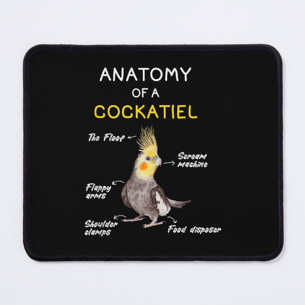 Item preview, Cockatiel Anatomy Parrot designed and sold by goombi-creative.