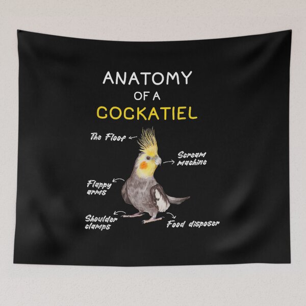Item preview, Cockatiel Anatomy Parrot designed and sold by goombi-creative.