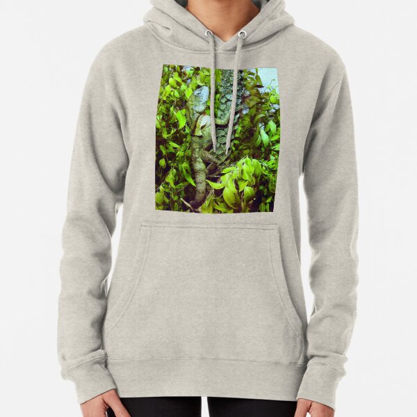 Frilled-necked lizard Pullover Hoodie