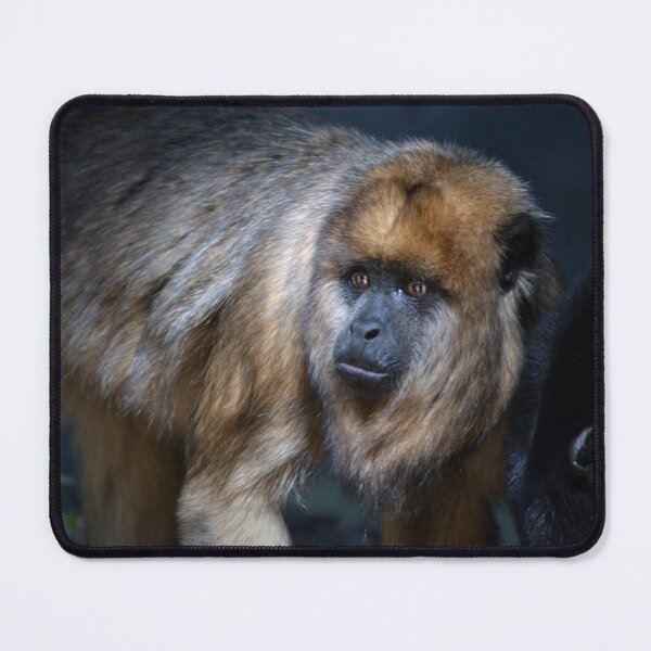 Item preview, Howler  Monkey designed and sold by Savannah Gibbs.