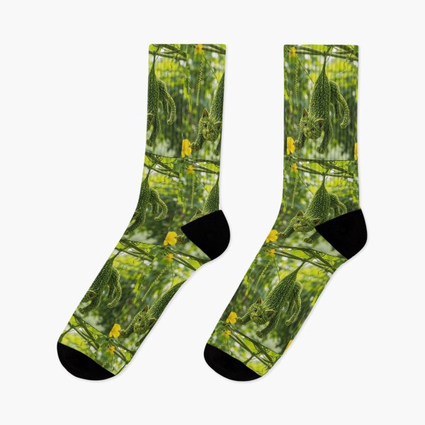 Aperçu de l'œuvre Courge amère créée et vendue par AwesomeDigiShop.