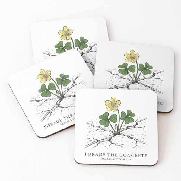 Item preview, Forage The Concrete Botanical Urban Illustration T-Shirt designed and sold by VintryOff.