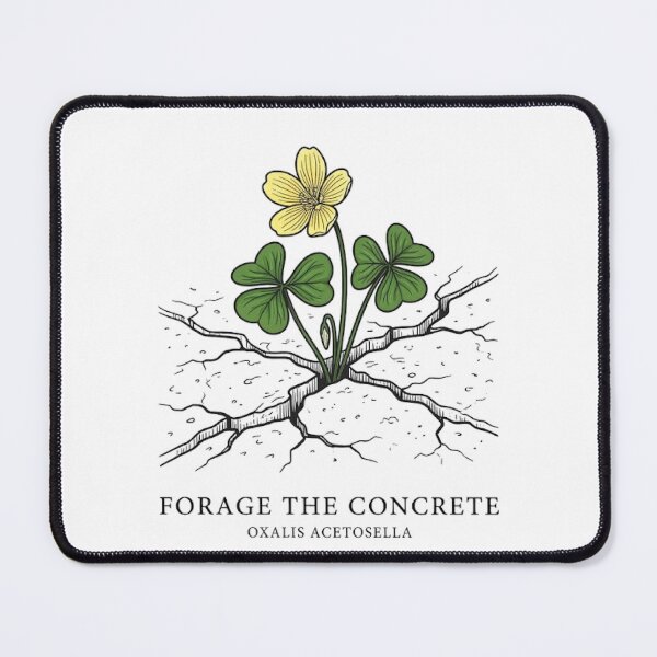 Item preview, Forage The Concrete Botanical Urban Illustration T-Shirt designed and sold by VintryOff.