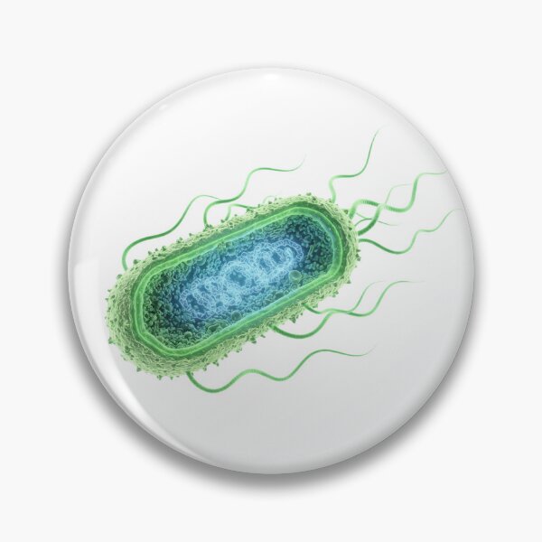 Item preview, 3D Prokaryotic Bacteria with Glowing DNA designed and sold by Chaoscience.