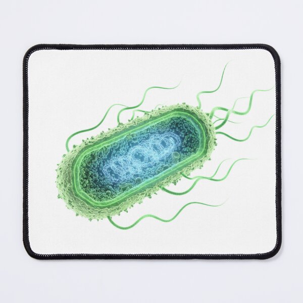 Item preview, 3D Prokaryotic Bacteria with Glowing DNA designed and sold by Chaoscience.