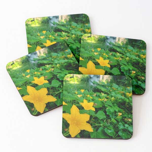 Item preview, Pumpkin Flowers  designed and sold by Lunar Bound Imagery .