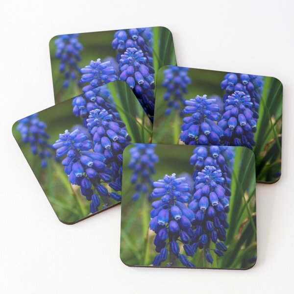 Item preview, Blue hyacinth flowers designed and sold by danielasynner.