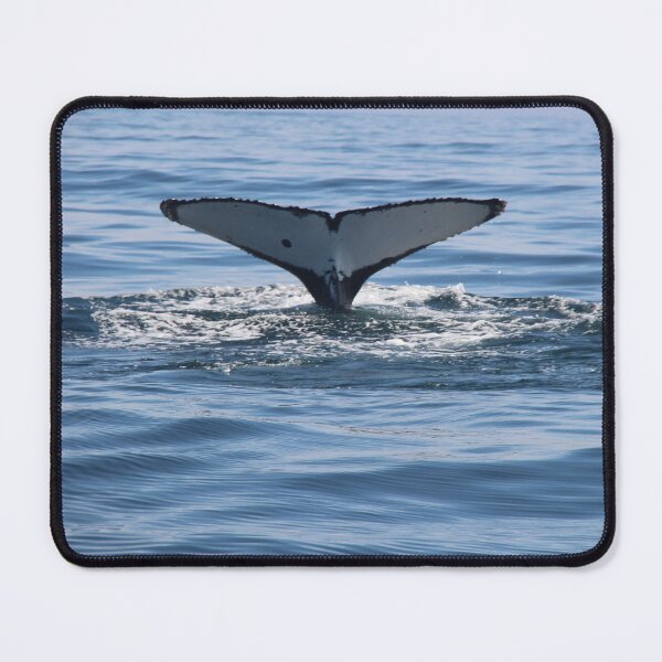 Item preview, Whale Tail designed and sold by Sedgwick Nature Photography.
